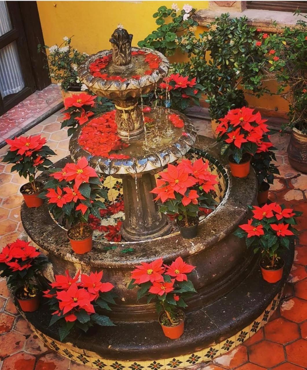 Hotel Casa Rosario Centro San Miguel de Allende Exteriér fotografie